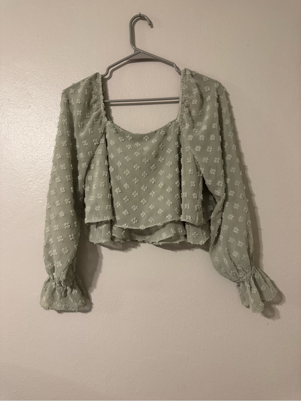 Altar'd State Sage Green Swiss Dot Long Sleeve Crop Top